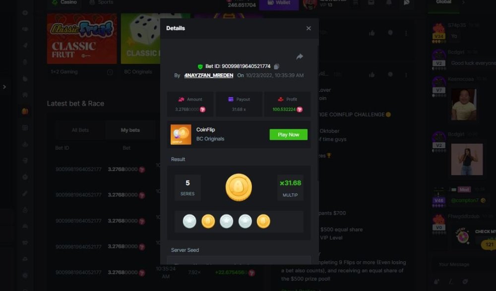 coinflip.JPG