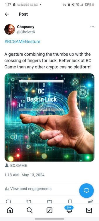Screenshot_20240513_011731_Chrome.jpg